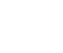 eGo Max large pod feature icon
