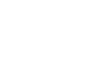 eGo Max removable battery icon
