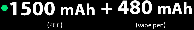 With a PCC battery capacity of 1500 mAh and an extra 480 mAh battery